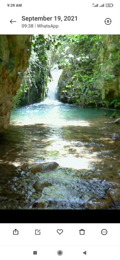 Casa Malferit Hostel Alcoleja Εξωτερικό φωτογραφία