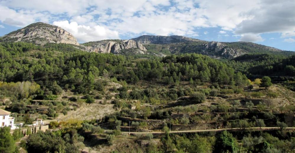 Casa Malferit Hostel Alcoleja Δωμάτιο φωτογραφία